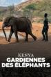 Kenya - Gardiennes des éléphants (2024)