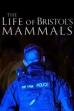 The Life of Bristol's Mammals (2024)