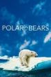 Polar Bears (2020)