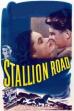 Stallion Road (1947)