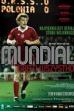 Mundial: The Highest Stakes (2014)