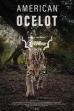 American Ocelot (2021)