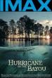 Hurricane on the Bayou (2006)