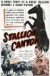 Stallion Canyon (1949)
