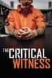 The Critical Witness (2021)