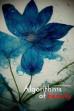Algorithms of Beauty (2022)