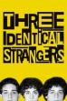Three Identical Strangers (2018)