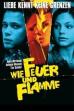 Never Mind the Wall (2001)