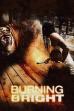 Burning Bright (2010)