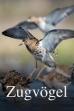 Zugvögel - Ein Jahr vergeht im Flug (2023)