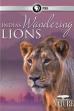 India's Wandering Lions (2016)