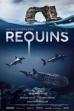For the Love of Sharks (2022)
