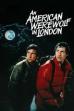 An American Werewolf in London (1981)