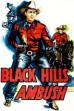Black Hills Ambush (1952)