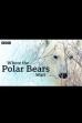 Where the Polar Bears Wait (2024)