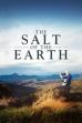 The Salt of the Earth (2014)