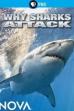 Why Sharks Attack (2014)