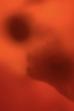 Love is Tinged with Red (2010)