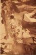 Chilean Soul (1918)