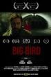 Big Bird (2015)