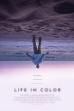 Life in Color (2018)