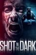 Shot in the Dark (2021)