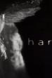 Harvey (2002)