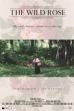 The Wild Rose (2017)