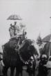Procession of Elephants with Howdahs - India (1905)