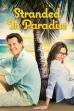 Stranded in Paradise (2014)