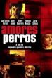 Amores Perros (2000)