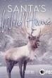 Santa's Wild Home (2020)