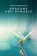 Dragons and Damsels (2019)