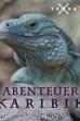 Abenteuer Karibik (2017)