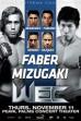 WEC 52: Faber vs. Mizugaki (2010)
