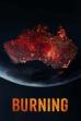 Burning (2021)