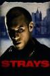 Strays (1997)