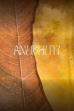 Anubhuti (2024)