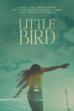 Little Bird (2024)