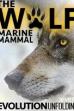The Wolf: Marine Mammal (2014)