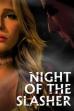 Night of the Slasher (2015)