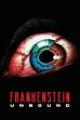 Frankenstein Unbound (1990)