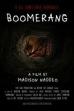 Boomerang (2025)