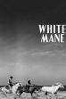 White Mane (1953)