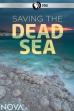 Saving the Dead Sea (2019)
