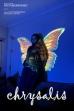 chrysalis (2025)