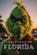 Christmas In Florida (2021)