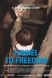 Tunnel to Freedom (2021)