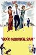 Good Neighbor Sam (1964)