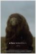 A Bear Remembers (2025)